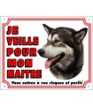 PANNEAU PVC ALASKAN MALAMUTE