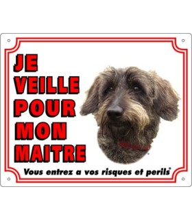 Panneau pvc Teckel à poils durs