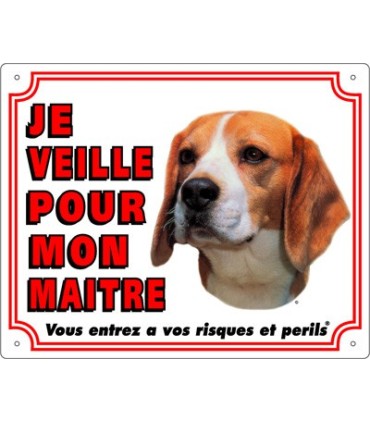 Panneau pvc Beagle