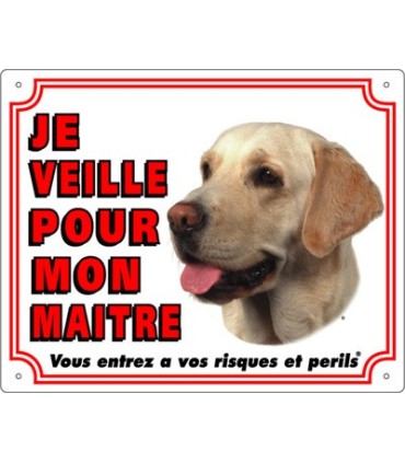 Panneau pvc Labrador retriever sable