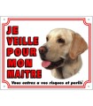 PANNEAU PVC LABRADOR RETRIEVER SABLE