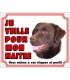 Panneau pvc Labrador retriever chocolat