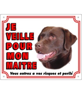Panneau pvc Labrador retriever chocolat
