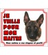 Panneau pvc Berger belge malinois