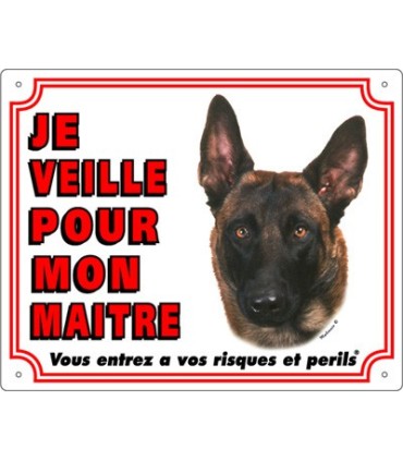 Panneau pvc Berger belge malinois