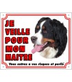 PANNEAU PVC BOUVIER BERNOIS