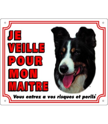 Panneau pvc Border collie