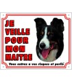 PANNEAU PVC BORDER COLLIE