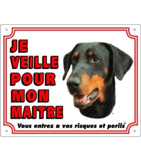 Panneau pvc Dobermann