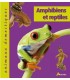 Amphibiens et reptiles
