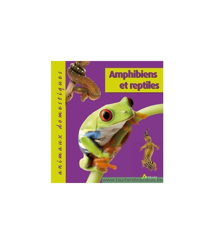 Amphibiens et reptiles