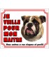 Panneau pvc Bouledogue anglais