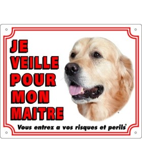 Panneau pvc Golden retriever
