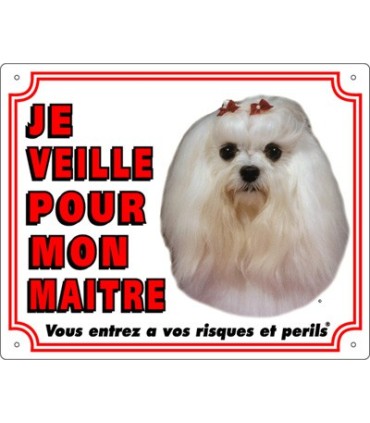 Panneau pvc Bichon maltais