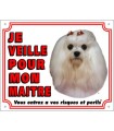 PANNEAU PVC BICHON MALTAIS