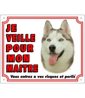 Panneau pvc Husky sibérien
