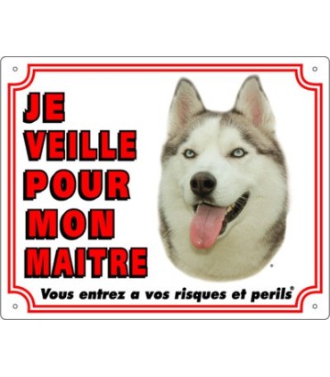 Panneau pvc Husky sibérien