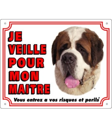 Panneau pvc Saint bernard