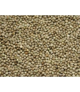 Chenevis de France en sachet 1 Kg