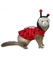 ***COSTUME COCCINELLE POUR FURET