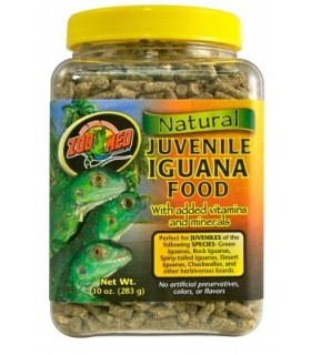 ZM Nour. Iguana Juvenile (567g.)  [ZM-81E]