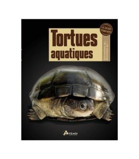 TORTUES AQUATIQUES