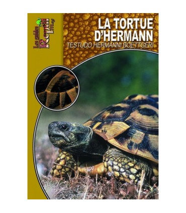 LA TORTUE D&#039;HERMANN