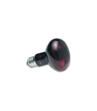 ZM Nocturnal Infrared Heat Lamp 50W   [RS-50E]