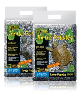 EX GRAVIER TORTUE 8-10MM  4.5KG