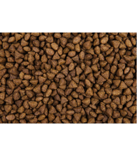 TDB Felis pro adulte 5 Kg