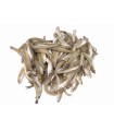 CONGELE - EPERLAN IQF - 10KG (10X1KG)