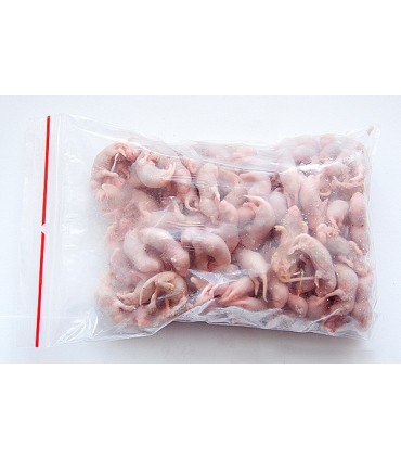 CONGELE - Souris PINKY [1] Q+ 1 Kg