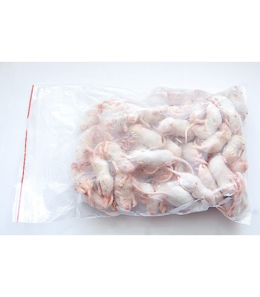 CONGELE - SOURIS SAUTEUSE [3] Q+ (SACHET DE 25 PIÈCES)