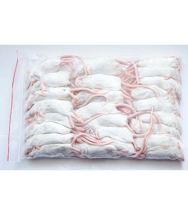 CONGELE - BÉBÉ SOURIS ROSÉ (SACHET DE 25 PIECES)