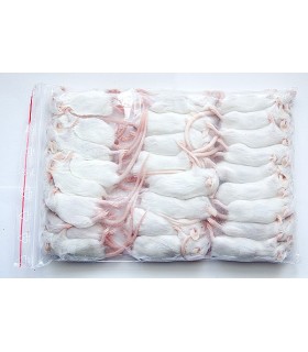 CONGELE - SOURIS [5] MEDIUM Q+(SACHET DE 25 PIÈCES)