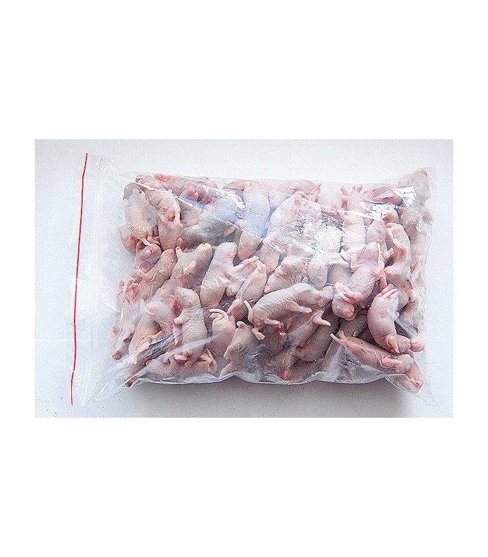 Bebes Rats Congeles En Sachet De 25 Pieces 12 Grammes