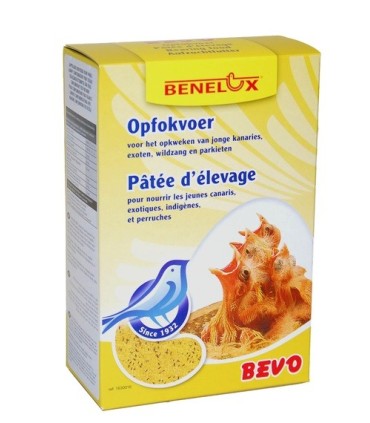 BEVO Patée élevage jaune pour canaris 1Kg