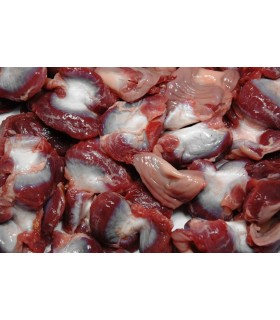 CONGELE - GESIER DE POULET - 1KG