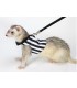 FURET HARNAIS SPORT + LAISSE ASSORTIE