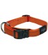 ROGZ FANBELT COLLIER HB06D-20MM ORANGE EN  NYLON