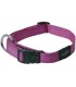 DOGX TO GO COLLIER NYLON ROUGE - LARGE