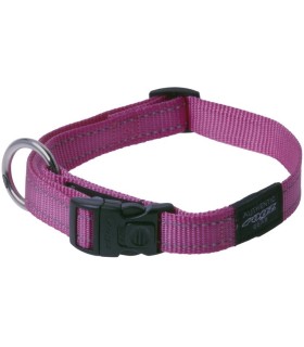 DOGX TO GO COLLIER NYLON ROUGE - LARGE