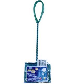 EPUISETTE QN4 - 10X8CM