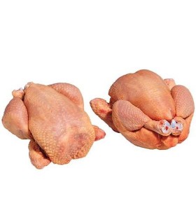 CONGELE - POULET VIDE DEPLUME 10 KILOS