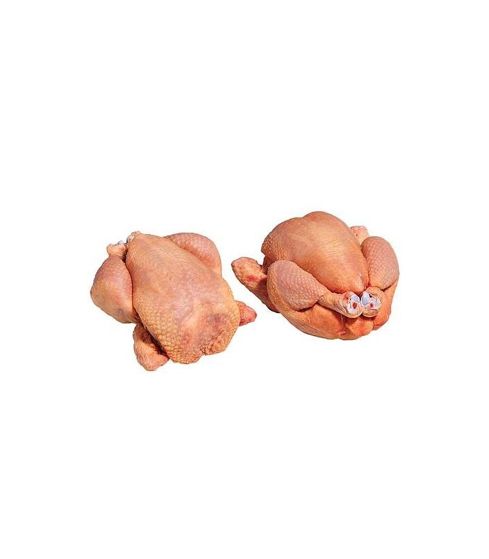 CONGELE - POULET VIDE DEPLUME +/- 10 KILOS