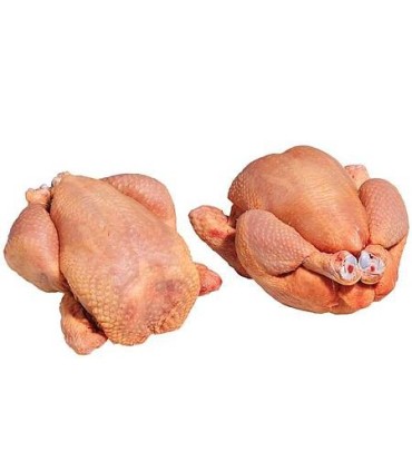 CONGELE - POULET VIDE DEPLUME 10 KILOS