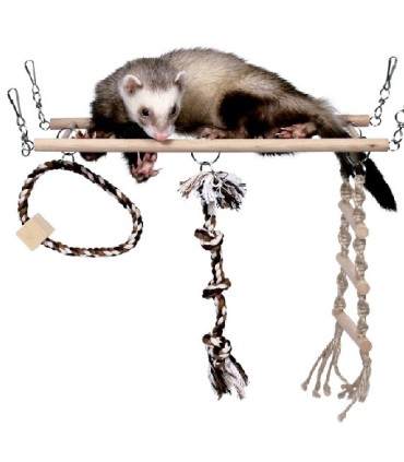 PONT SUSPENDU POUR FURET