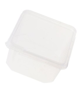 BOITE PLASTIQUE PERFORÉE POUR INSECTES - 11X11X6CM