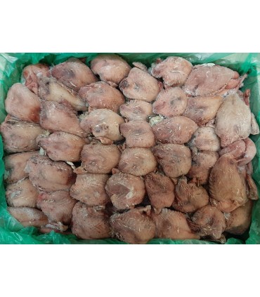 CAILLE PLUMEE AVEC ENTRAILLES