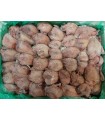 CONGELE - CAILLES SANS PLUME AVEC VISCÈRES (BOITE DE 6 KG)